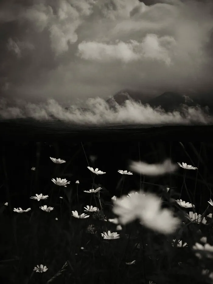 'GAIA': This Artist Explores Earth's Harmony With His Photos (20 Pics)