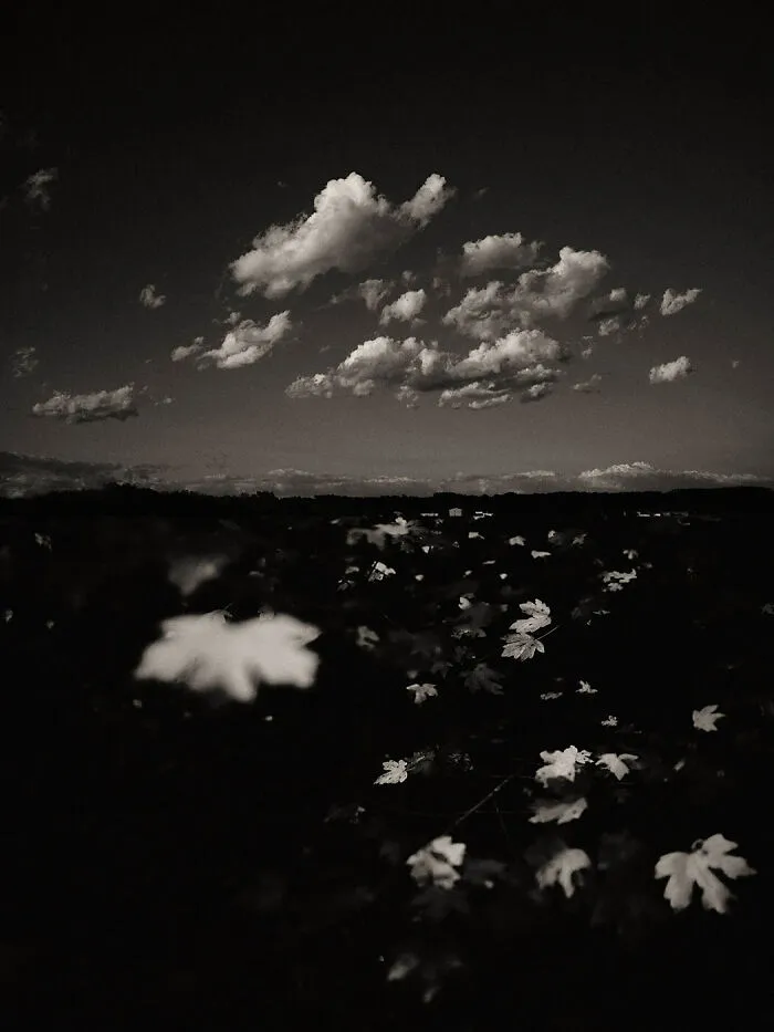 'GAIA': This Artist Explores Earth's Harmony With His Photos (20 Pics)