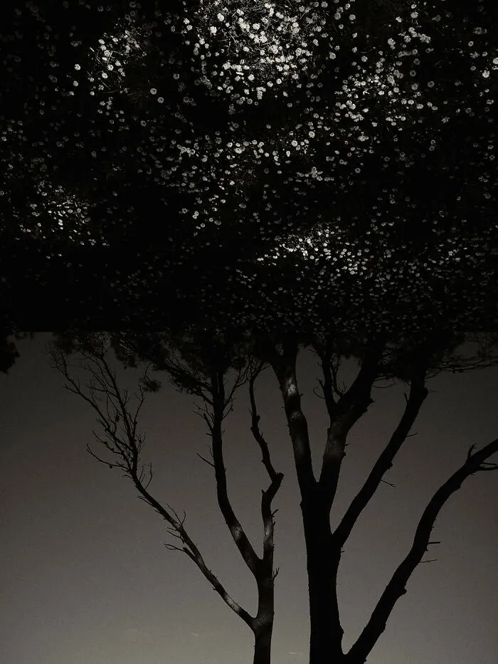 'GAIA': This Artist Explores Earth's Harmony With His Photos (20 Pics)