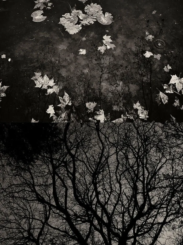 'GAIA': This Artist Explores Earth's Harmony With His Photos (20 Pics)