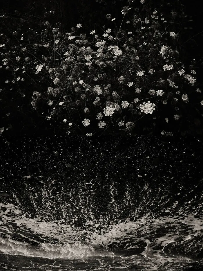 'GAIA': This Artist Explores Earth's Harmony With His Photos (20 Pics)
