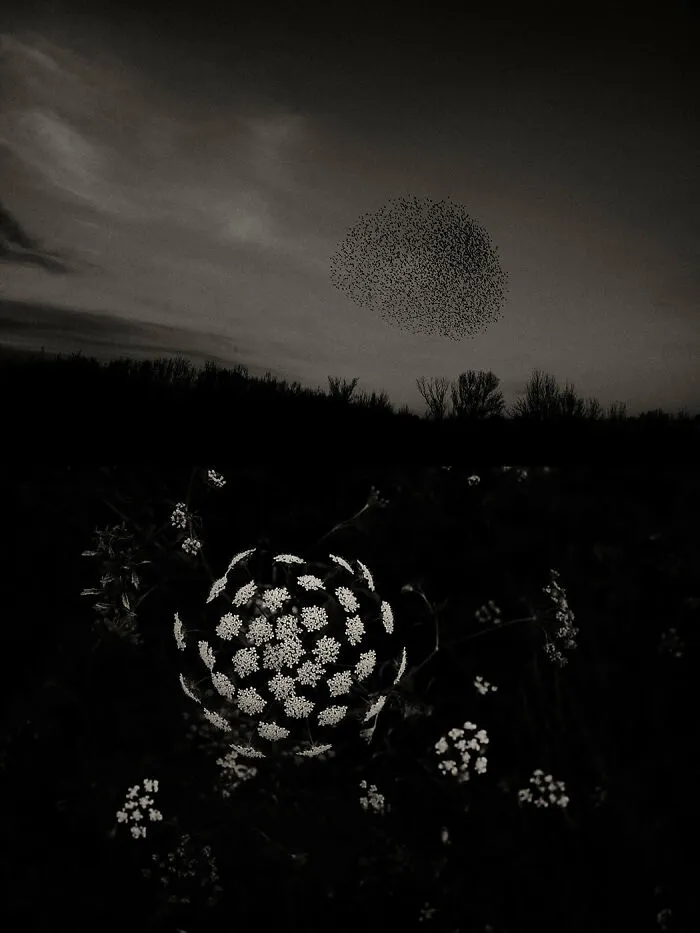 'GAIA': This Artist Explores Earth's Harmony With His Photos (20 Pics)