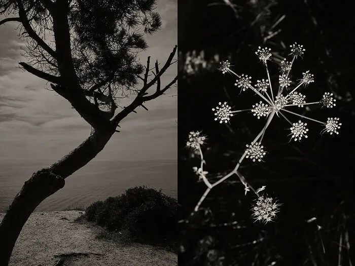 'GAIA': This Artist Explores Earth's Harmony With His Photos (20 Pics)