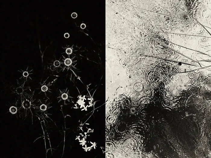 'GAIA': This Artist Explores Earth's Harmony With His Photos (20 Pics)