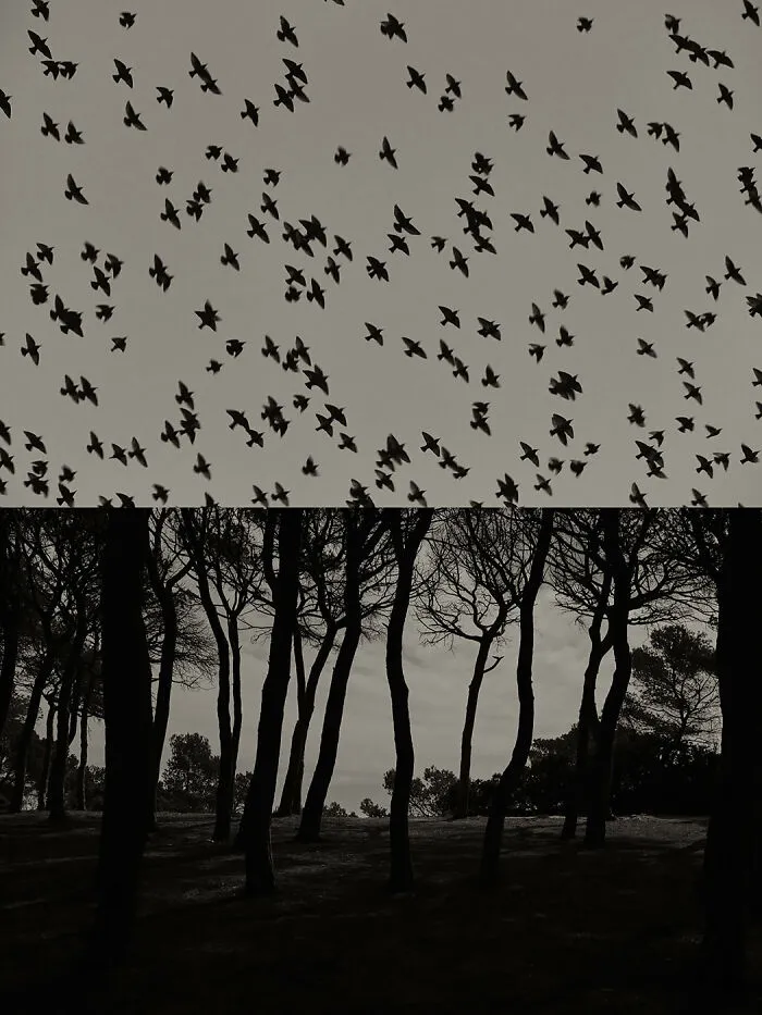 'GAIA': This Artist Explores Earth's Harmony With His Photos (20 Pics)
