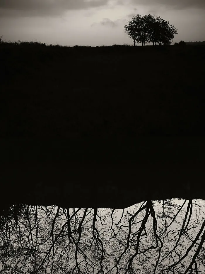 'GAIA': This Artist Explores Earth's Harmony With His Photos (20 Pics)