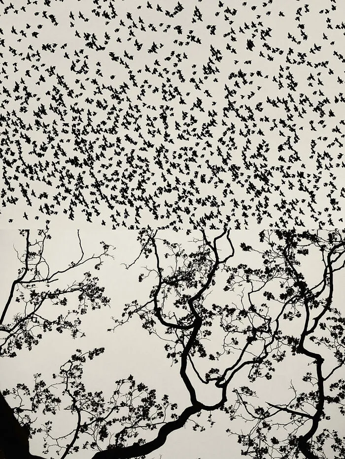 'GAIA': This Artist Explores Earth's Harmony With His Photos (20 Pics)