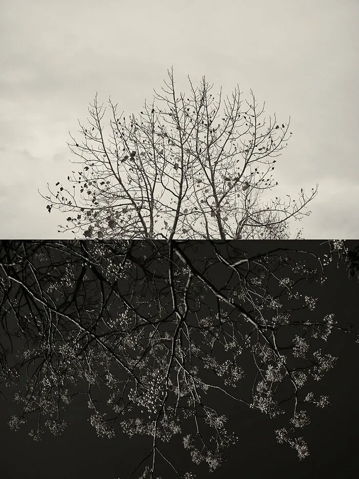 'GAIA': This Artist Explores Earth's Harmony With His Photos (20 Pics)