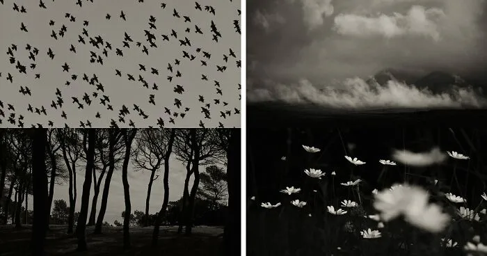 'GAIA': This Artist Explores Earth's Harmony With His Photos (20 Pics)