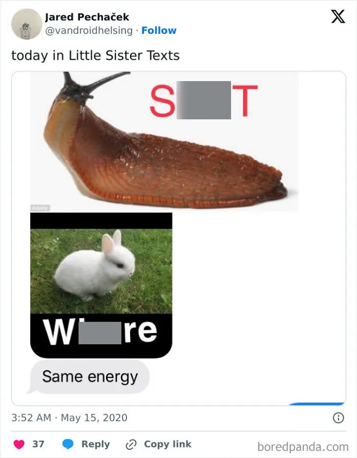 30 Screenshots That Prove Exactly Why Millennials And Gen Z Can’t Get Along