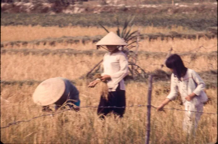 18 Recently Discovered Pics From Vietnam That Netizens Can’t Look Away From