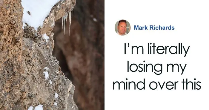 “I’m Losing My Mind”: People Go Crazy Trying To Spot The Snow Leopard Hidden In This Photo
