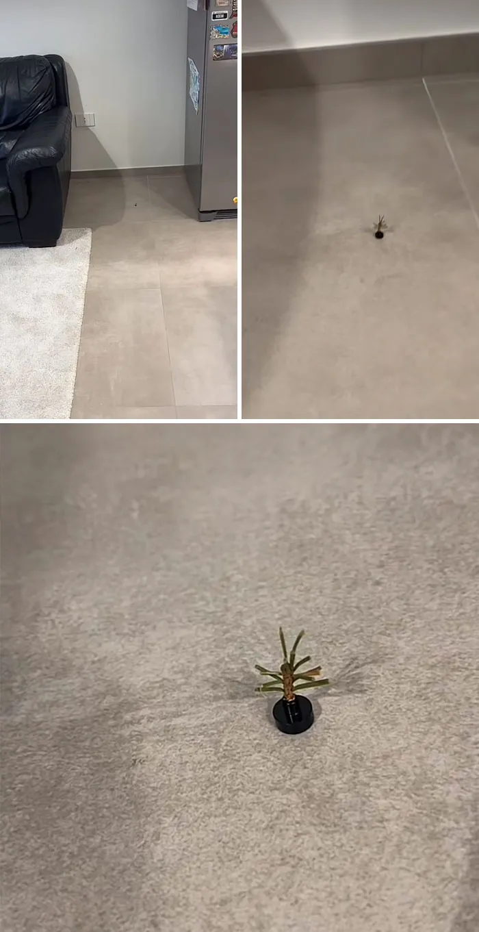 There Was An Attempt To Create This Space-Saving Christmas Tree