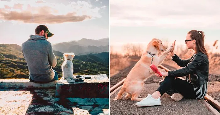 10 Ways to Show Your Dog You Love Them That They Understand