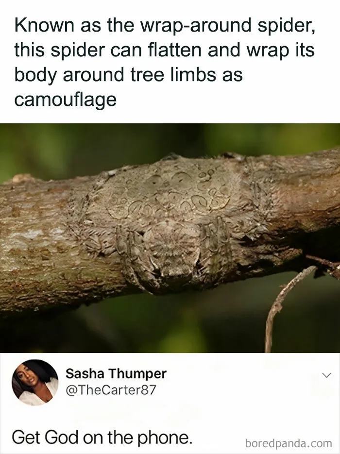 ‘The Lighter Side Of Science’: 50 Hilariously Relatable Memes For All