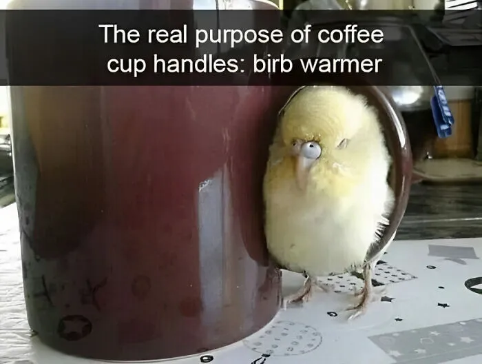 ‘The Lighter Side Of Science’: 50 Hilariously Relatable Memes For All