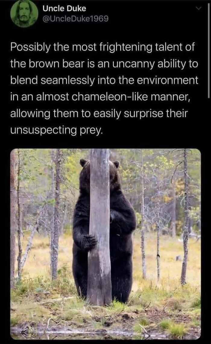 ‘The Lighter Side Of Science’: 50 Hilariously Relatable Memes For All