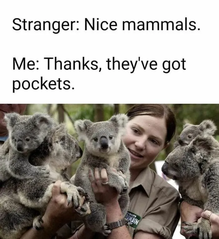 ‘The Lighter Side Of Science’: 50 Hilariously Relatable Memes For All
