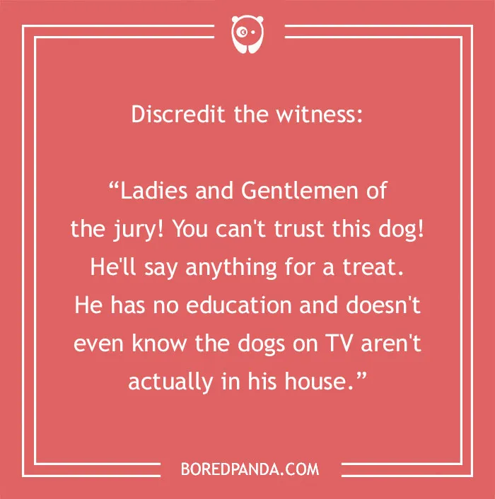 58 Scenarios That We Might Encounter If Dogs Could Talk