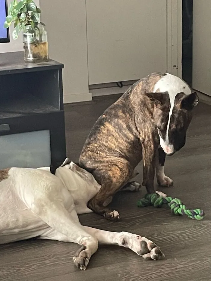 Testing Her Patience