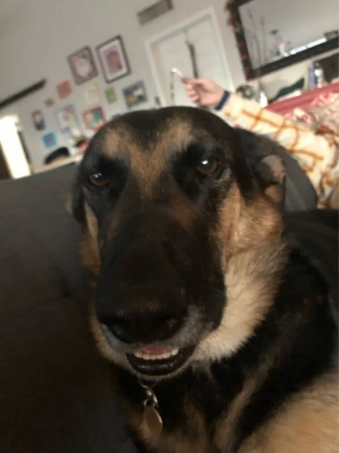 Ajax