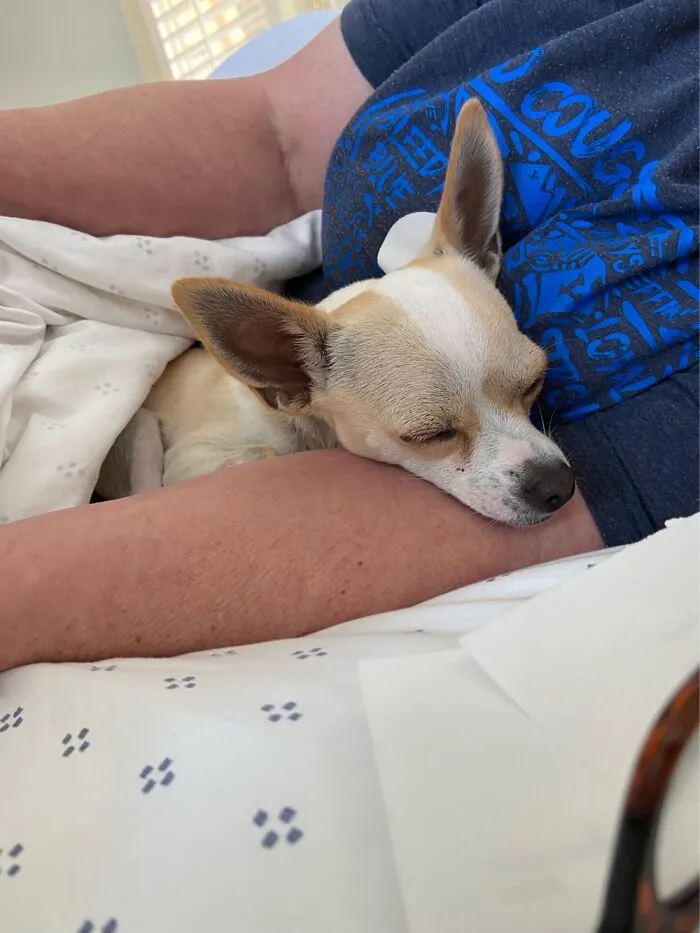 It’s Exhausting Being A Maniac