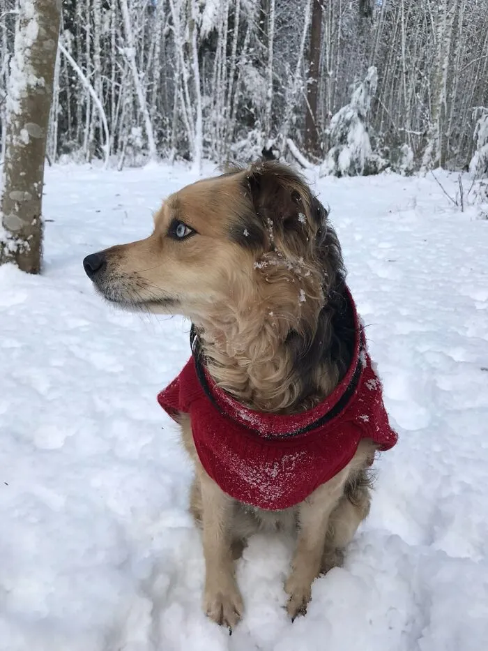 Whisky Waiting For Her Sisters To Catch Up