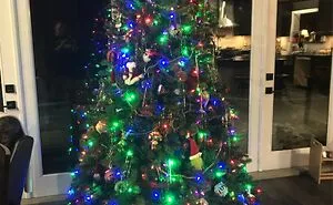 Hey Pandas, Share Your Christmas Trees (Closed)