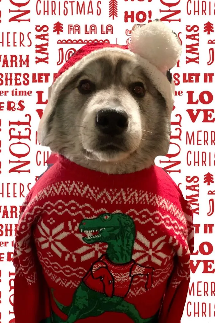 Have A Roaring Great Holiday