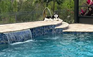 Hey Pandas, Post The Craziest Picture You Have Of Your Pet Doing Something Crazy (Closed)