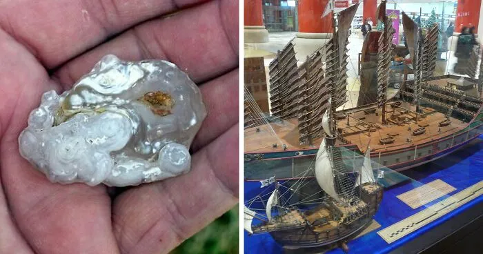 50 Times People Learned Something So “Fascinating” They Had To Share With Others