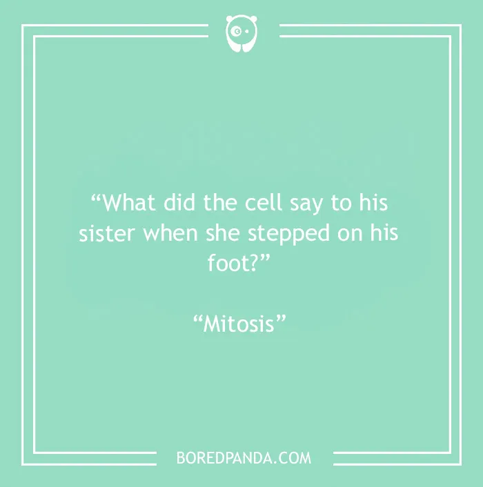 116 Bad Puns For Your Dad Jokes Collection