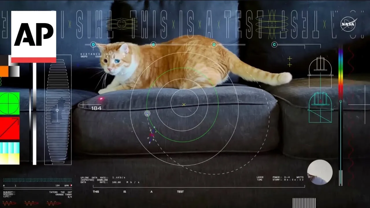 Taters The Cat Stars In Nasa’s First Video Sent By Laser From Deep Space