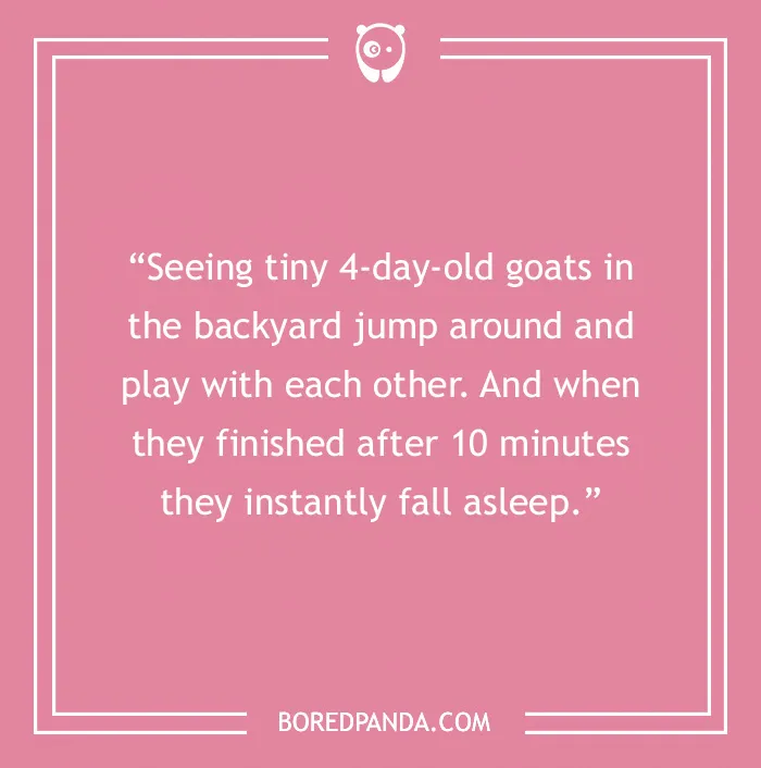 76 Little Things In Life That Bring Big Happiness