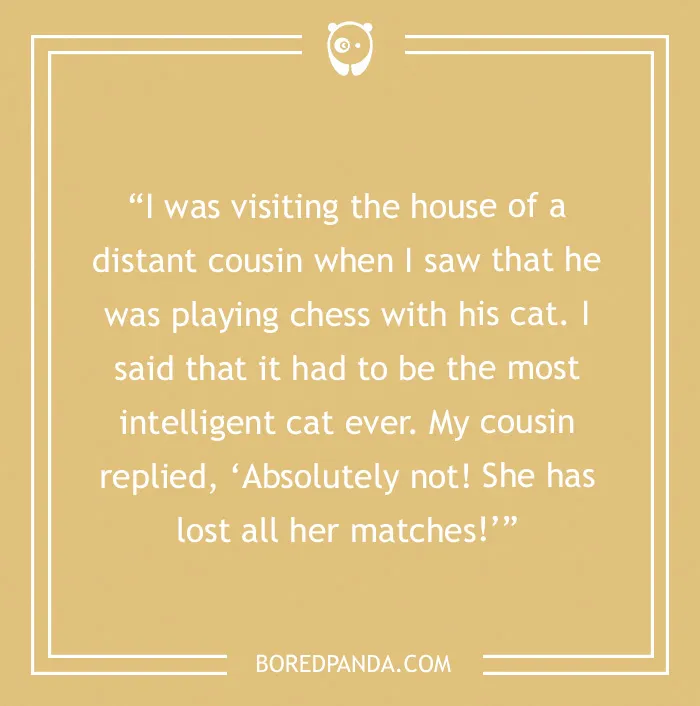 7 Funny Story Jokes That Earn Their Laughs