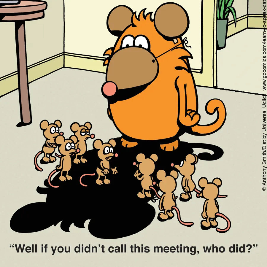 The Nature Of Cats: Artist Purrfectly Describes What Having A Cat Is Like In His 40 New Comics