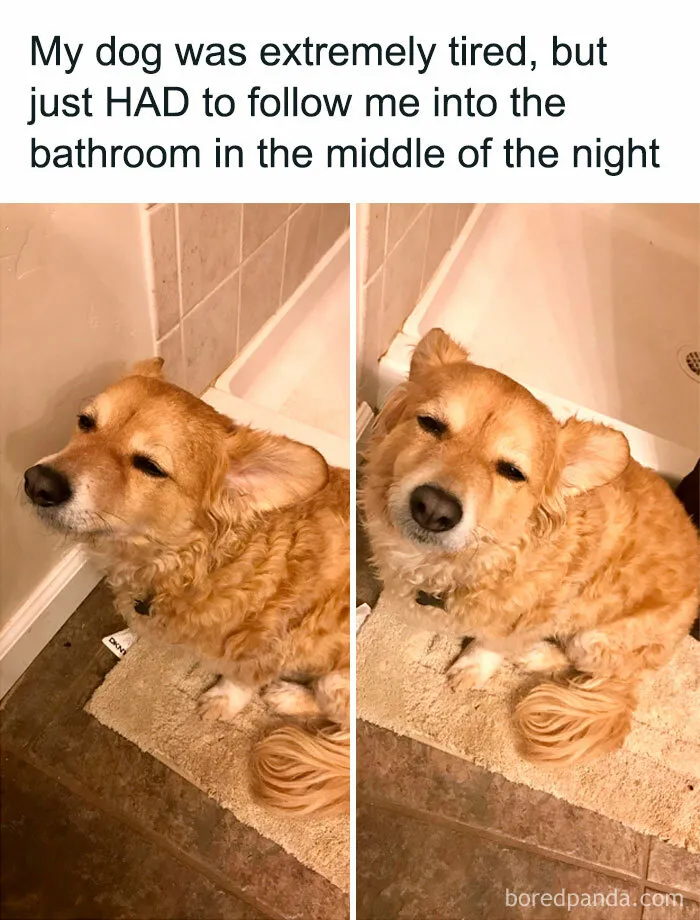 Protects Against Monsters At Night