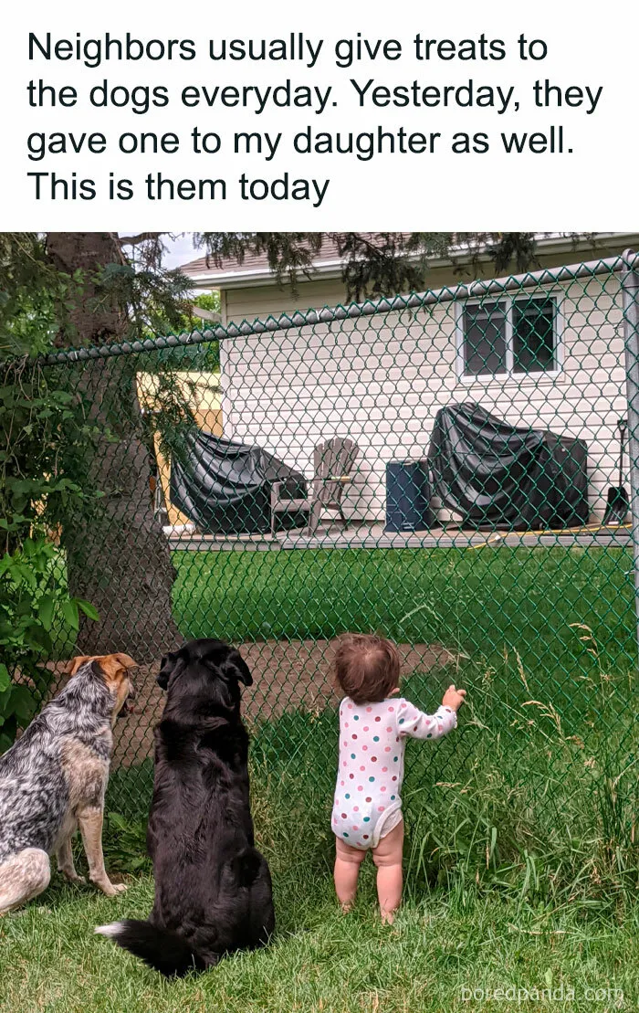 Pavlov's Daughter