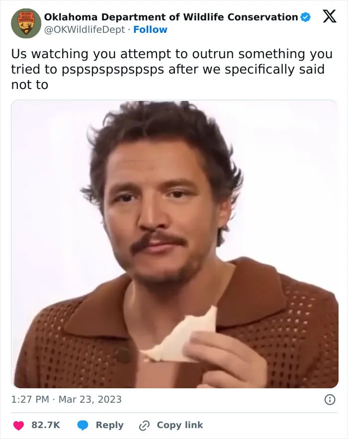 “Pedro Pascal’s Iconic Expression”