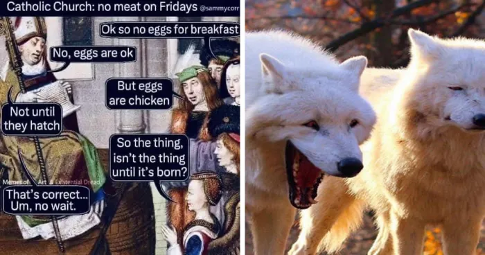 35 Hilarious Medieval Memes That Just Might Make You Laugh So Hard You’ll Spit Out Your Ale