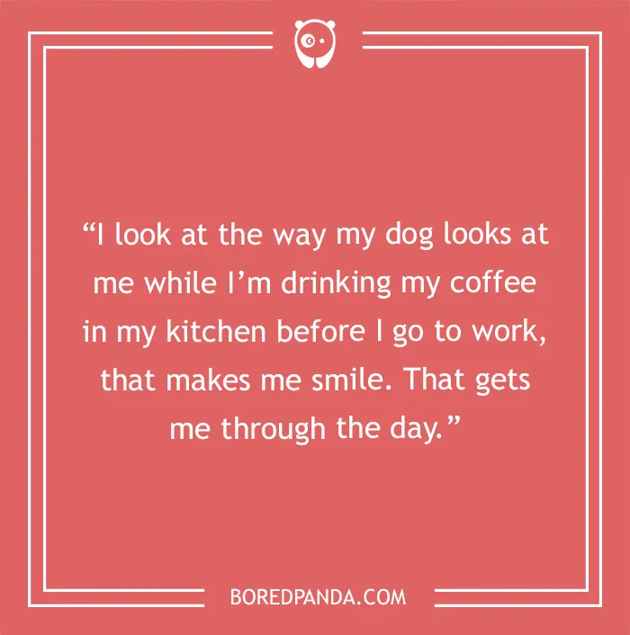Look At Your Dog