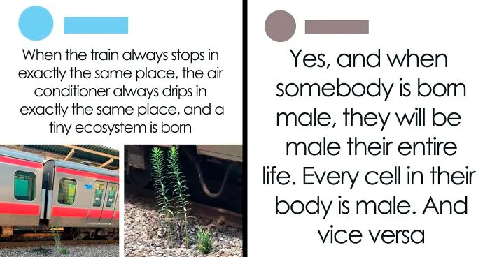 Nobody Asked: 30 Times People Just Had To Butt In With Their Stories