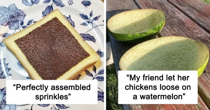 People Are Sharing Oddly Satisfying Pics Of Nearly Perfect Food, Here Are 50 Of The Best (New Pics)