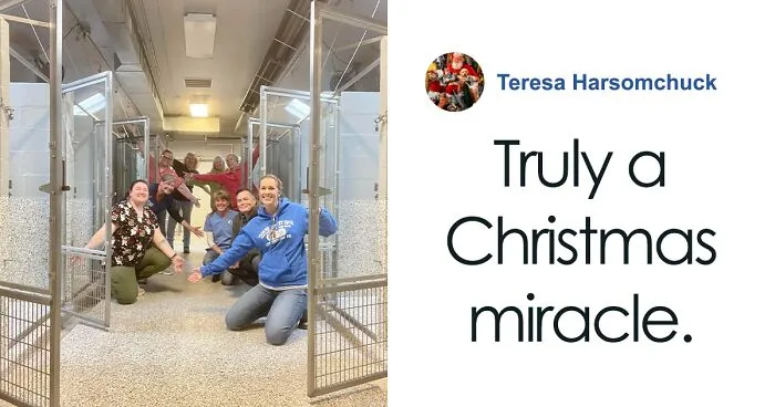 First Time In 50 Years That Animal Shelter Is Empty After 600 Dogs Get “Miraculously” Adopted