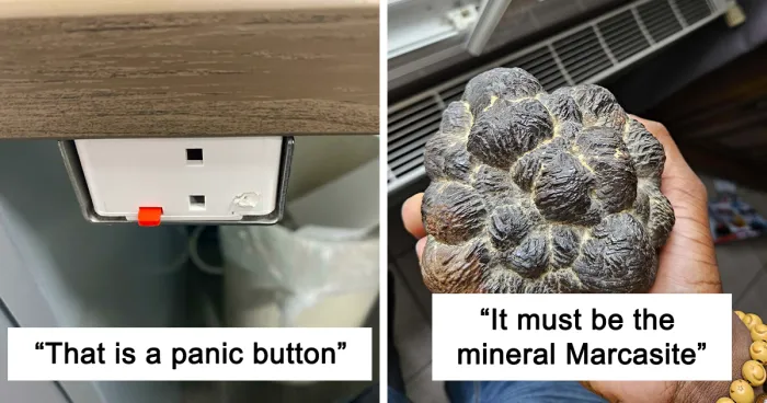 42 Times People Found Some Weird Things And Asked Strangers To Help Identify Them Online