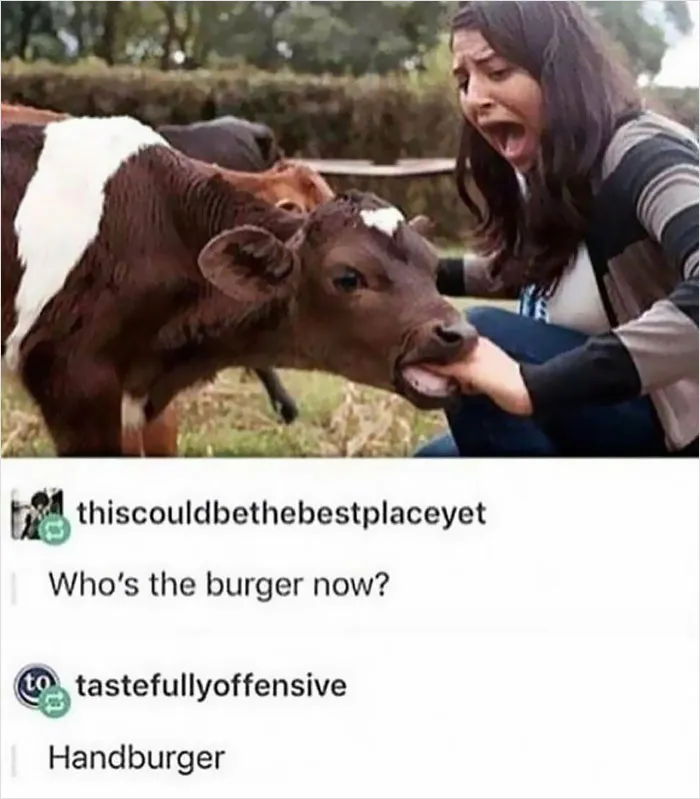 Holding My Cow By The Tongue Won't Hurt Her