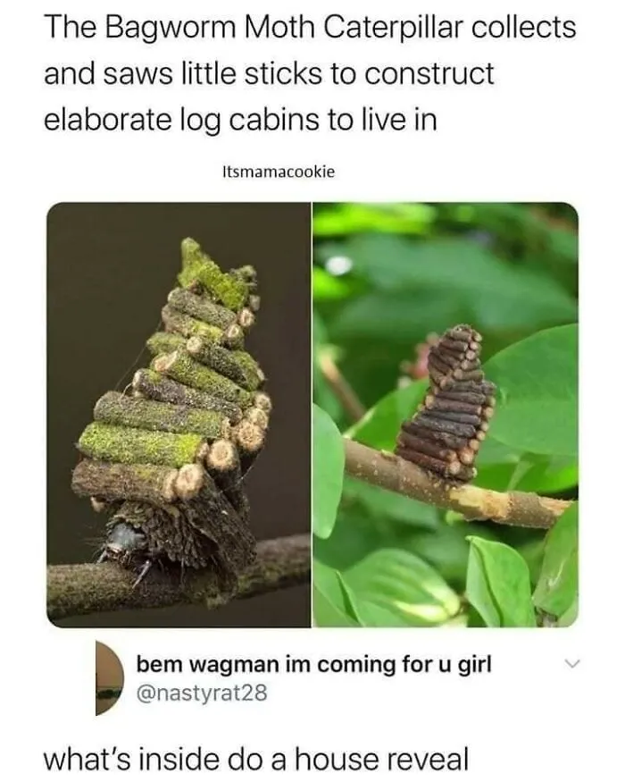50 Hilarious Memes For All Of Us To Relate To, As Shared By This Facebook Group