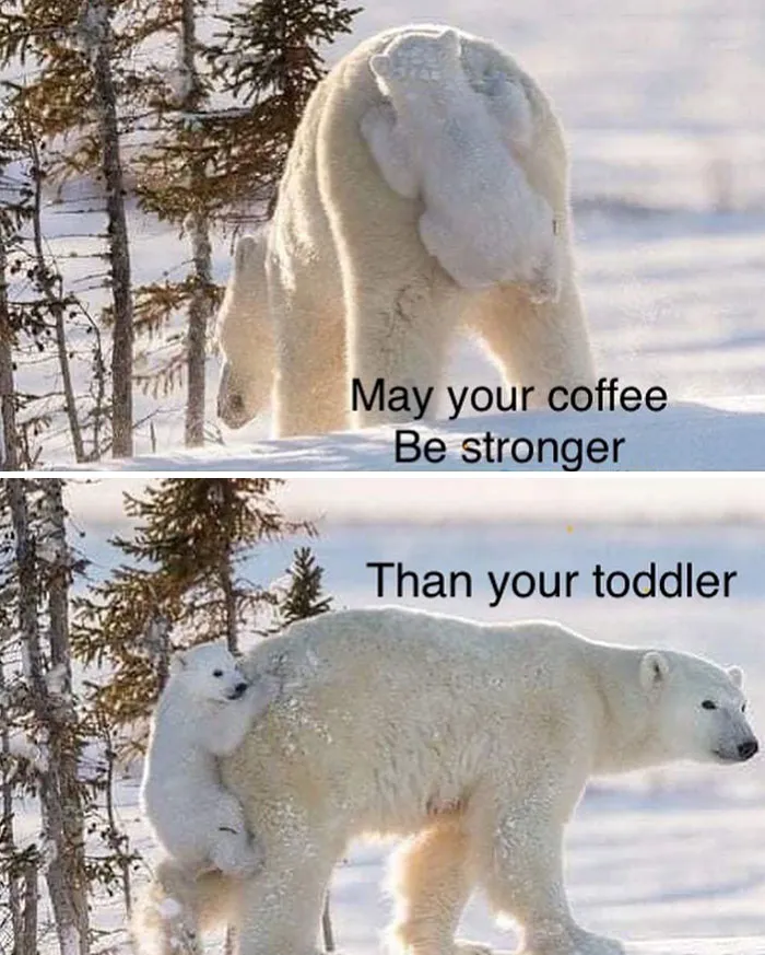 40 Memes That Hilariously Sum Up What Pregnancy And Being A Parent Are Like