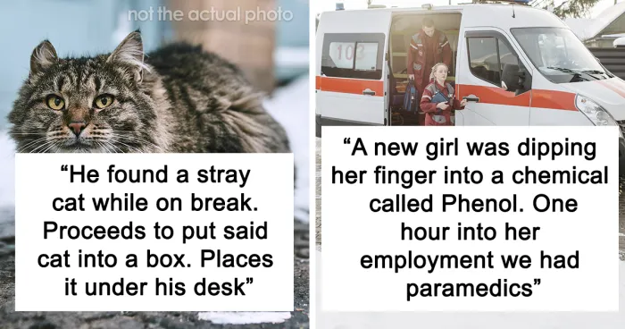 30 Of The Quickest Ways People Have Seen A Coworker Get Canned