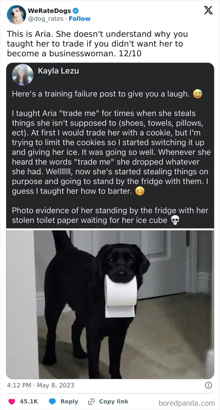 50 Hilariously Wholesome Dog Ratings To Brighten Up Your Day (New Pics)
